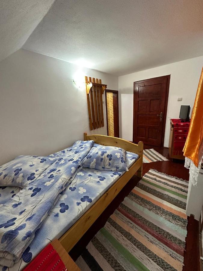 Arieşeni Casa Alexヴィラ エクステリア 写真