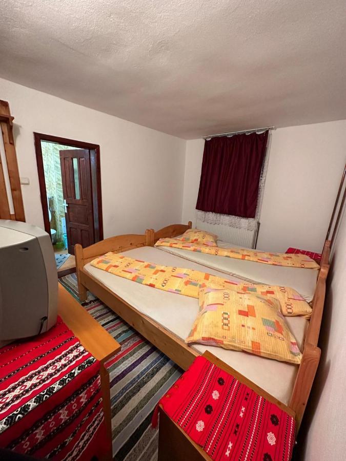 Arieşeni Casa Alexヴィラ エクステリア 写真